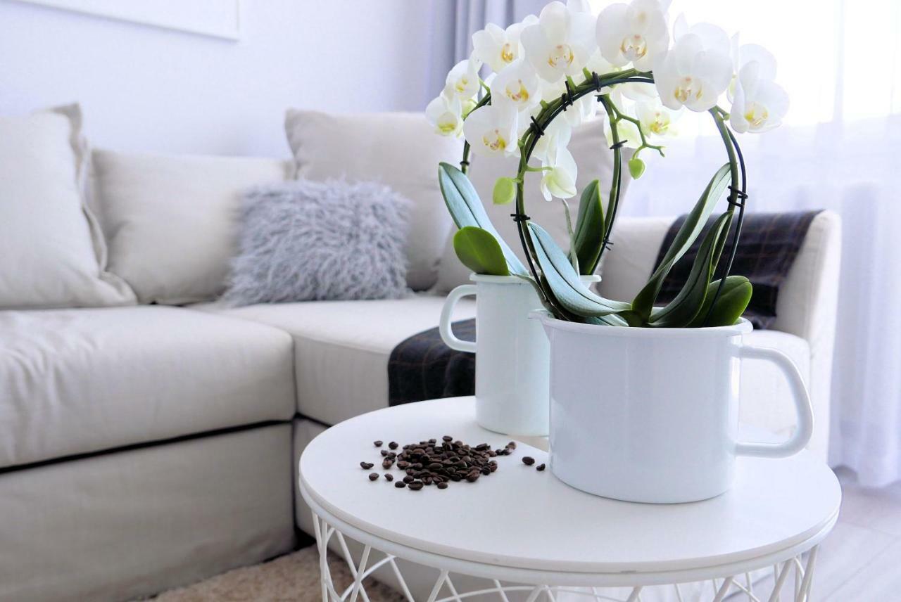Apartment Chilliapartamenty - Blizej Morza - Mocca
